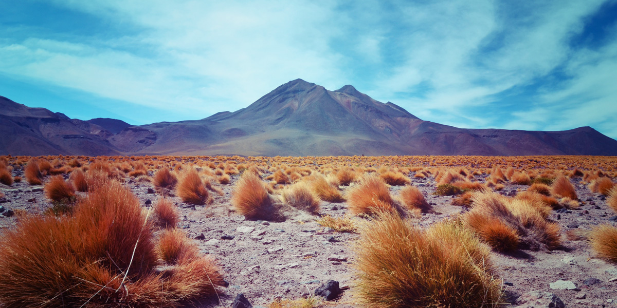 Atacama-G.Montcharmont