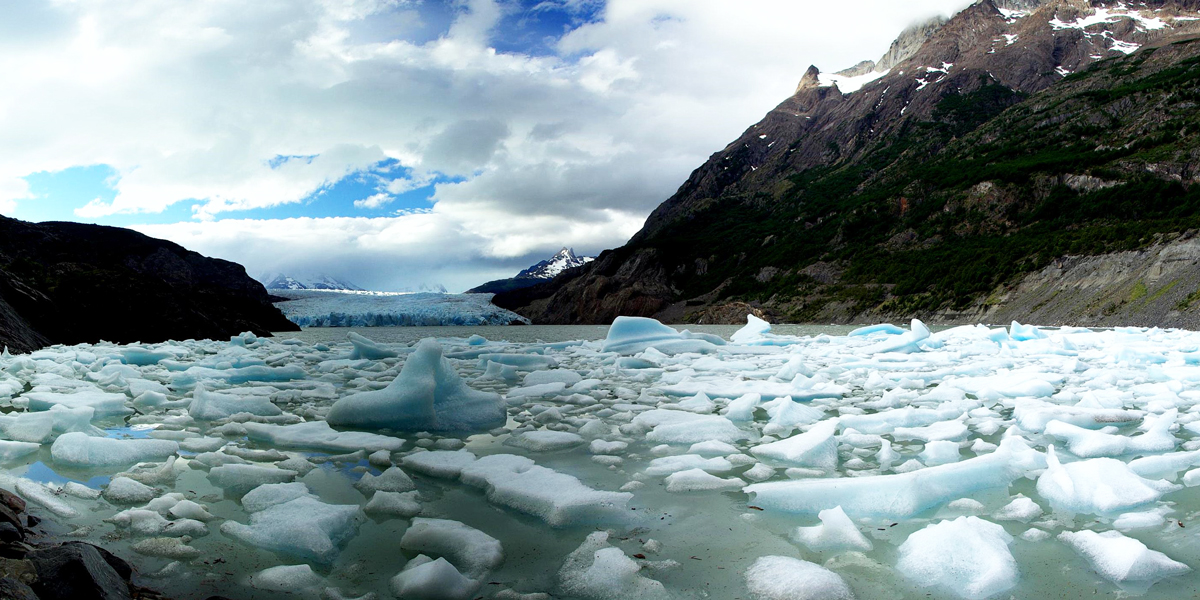 Grey_Glacier_icebergs_Stevage